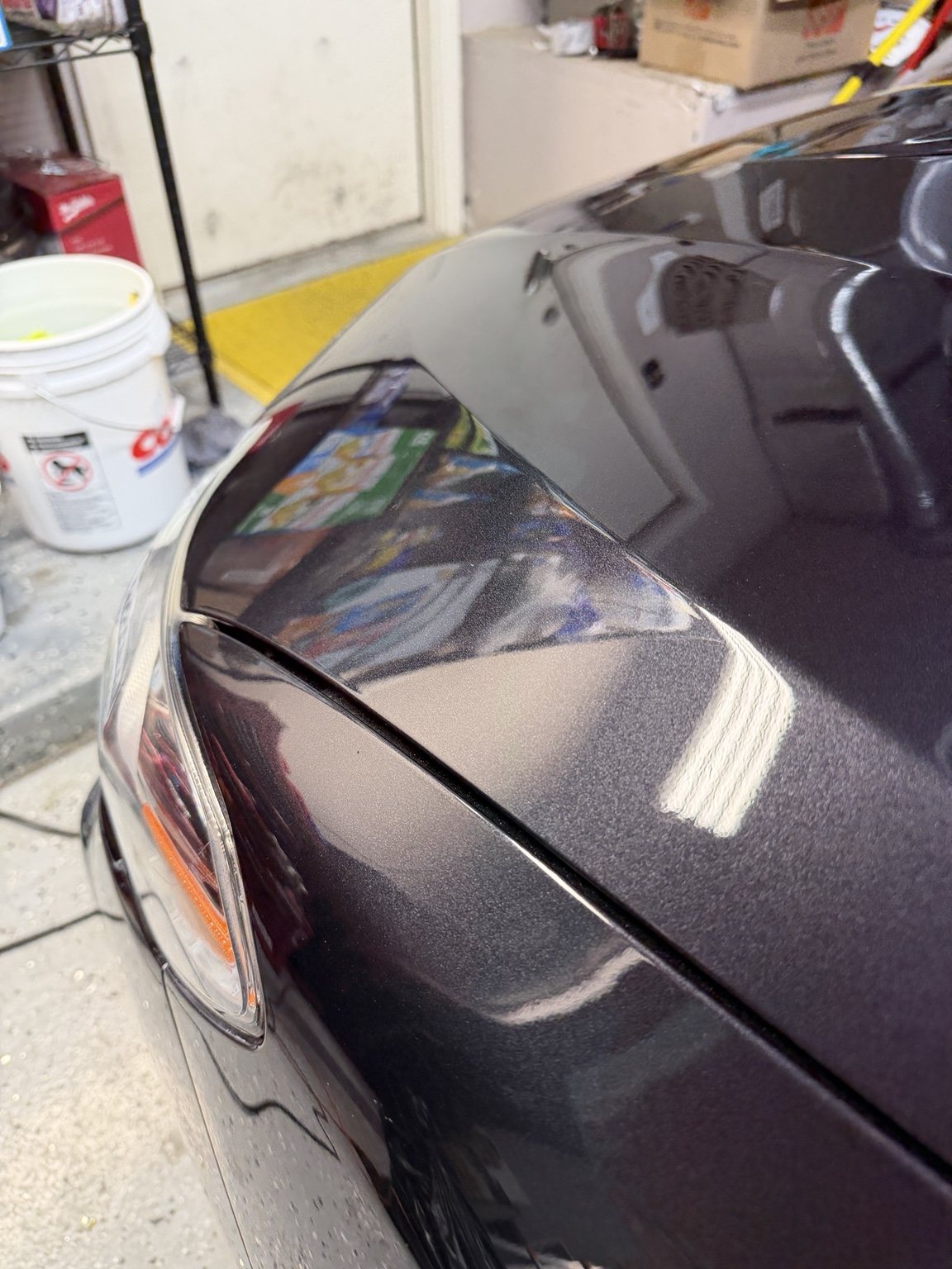 Dark metallic hood showing improved clarity and gloss after paint correction